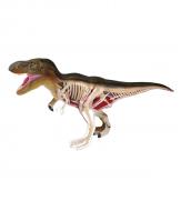Объемная анатомическая модель Динозавр Тираннозавр