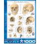 Пазлы Человеческий череп 1000