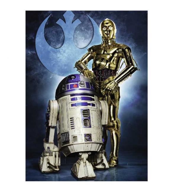 Пазлы R2-D2 и C-3PO 1000  