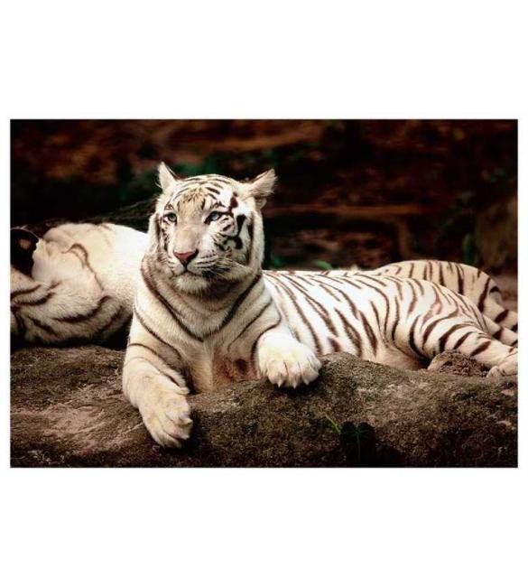 Пазлы Бенгальский тигр 1500 